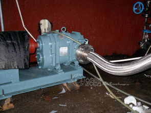 供應(yīng)高效率不銹鋼食品泵 力華高粘度輸送泵