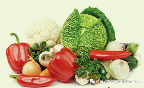綠色食品 食用農(nóng)產(chǎn)品科普指南